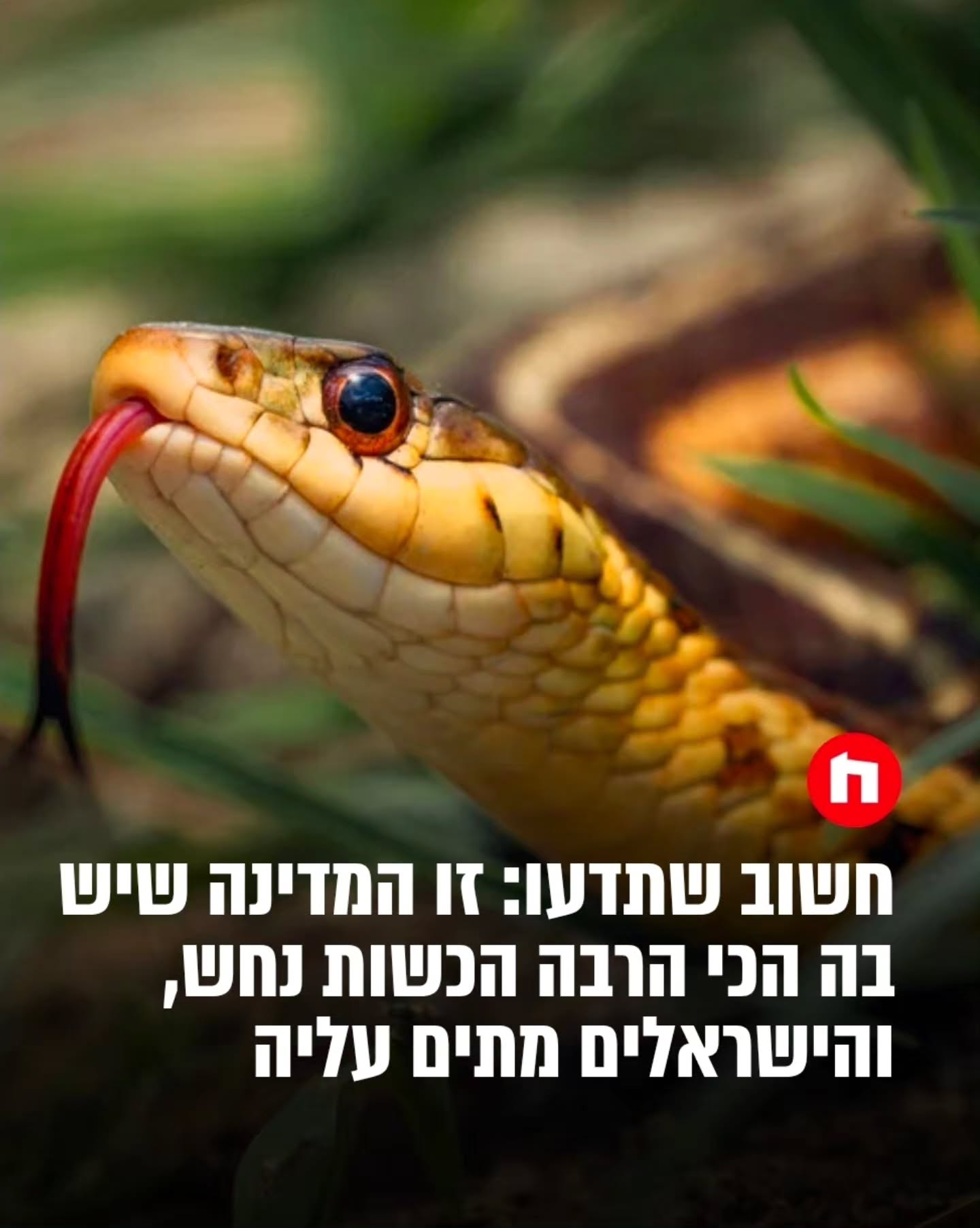 מחקר אנגלי בדק נתונים מ-79 מדינות ומצא כי מדי שנה מוכשים בעולם...