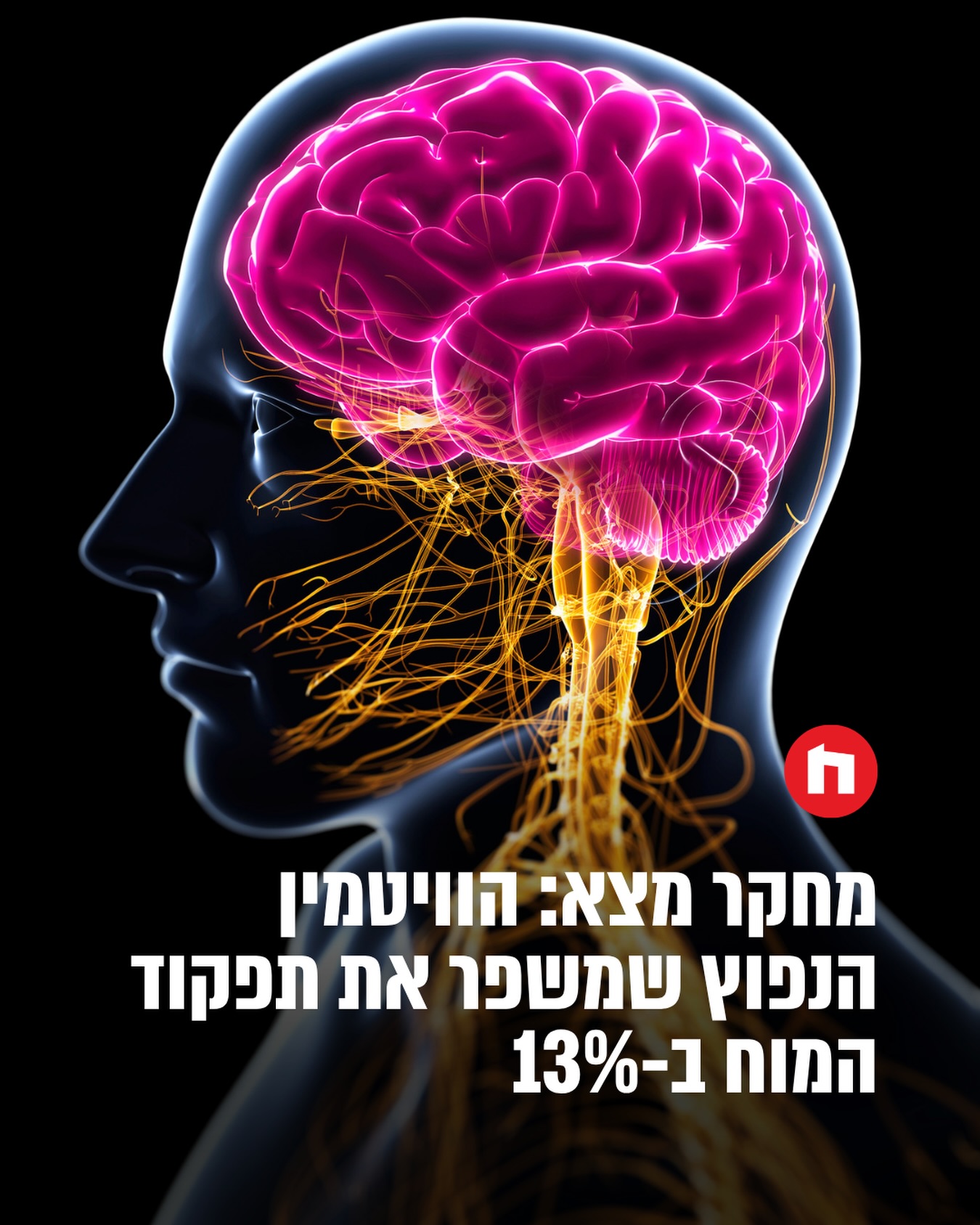 ויטמין D מוכר בעיקר בזכות תפקידו בבריאות העצמות והשרירים, אך...