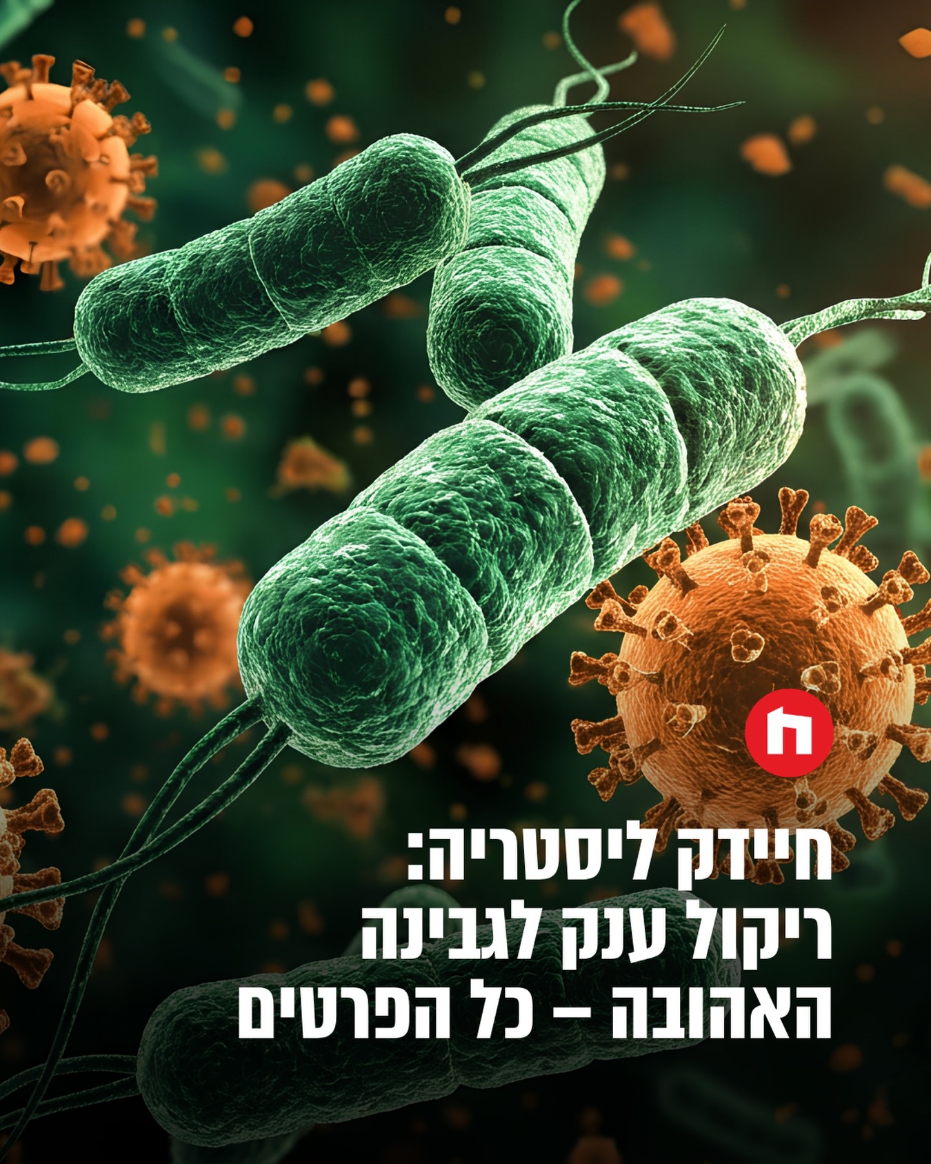 בבדיקה שערך היצרן הצרפתי נמצא חיידק ליסטריה בגבינה המיובאת...