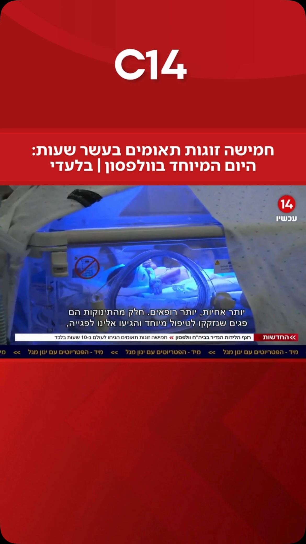 ⁨ ⁨ עשרה תינוקות בעשר שעות: בזה אחר זה הגיחו השבוע לעולם...