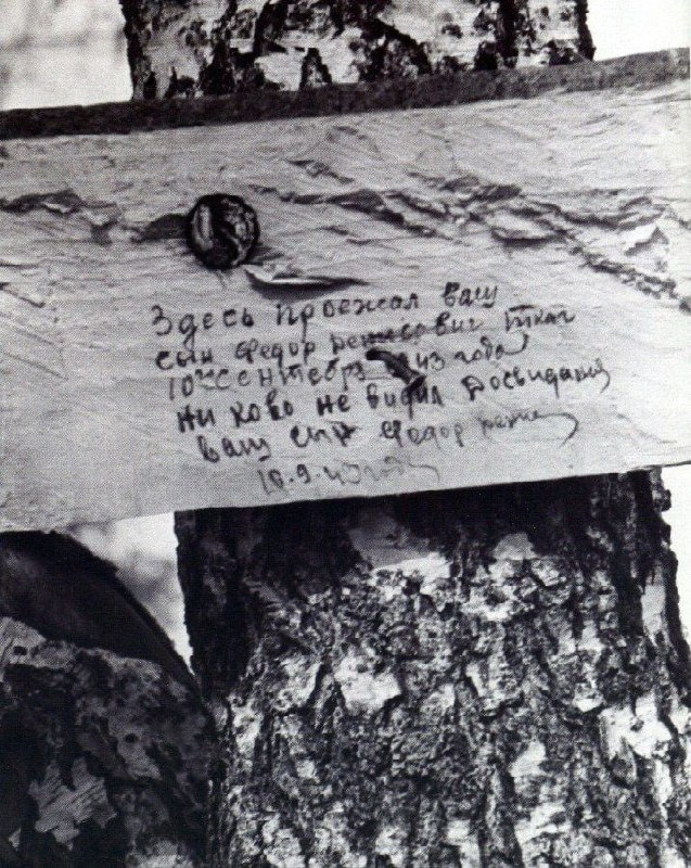 פתק מחייל חזית שעבר ב-1943 בכפר הולדתו ומרח אותו אל עץ ליבנה, כי...