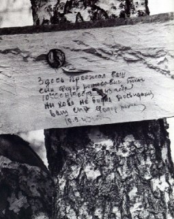 פתק מחייל חזית שעבר ב-1943 בכפר הולדתו ומרח אותו אל עץ ליבנה, כי...