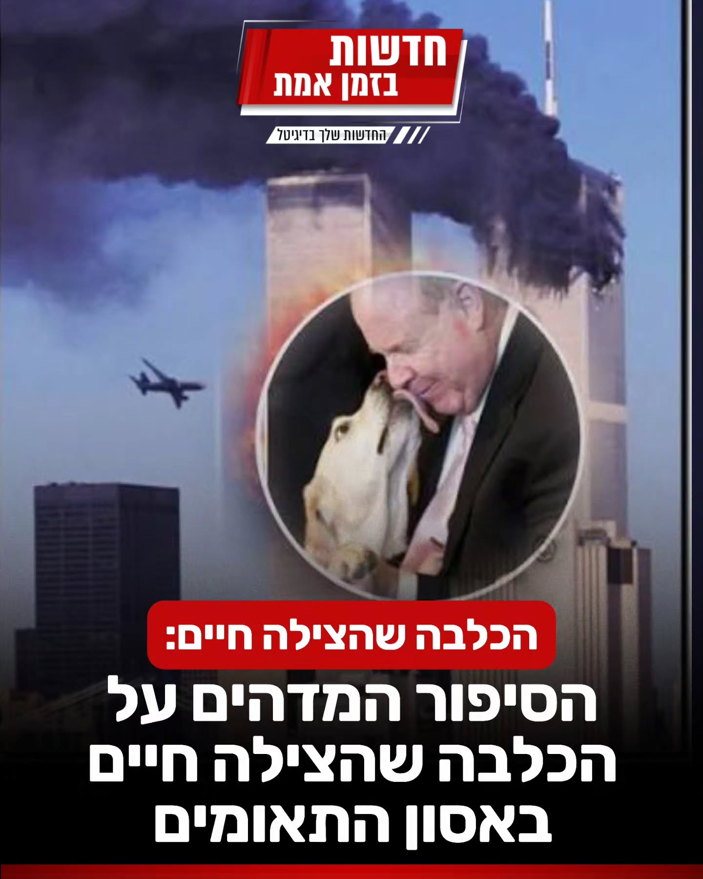 הסיפור המדהים של מייקל הינגסון וכלבת הנחייה שלו רוזל, שהצילה...