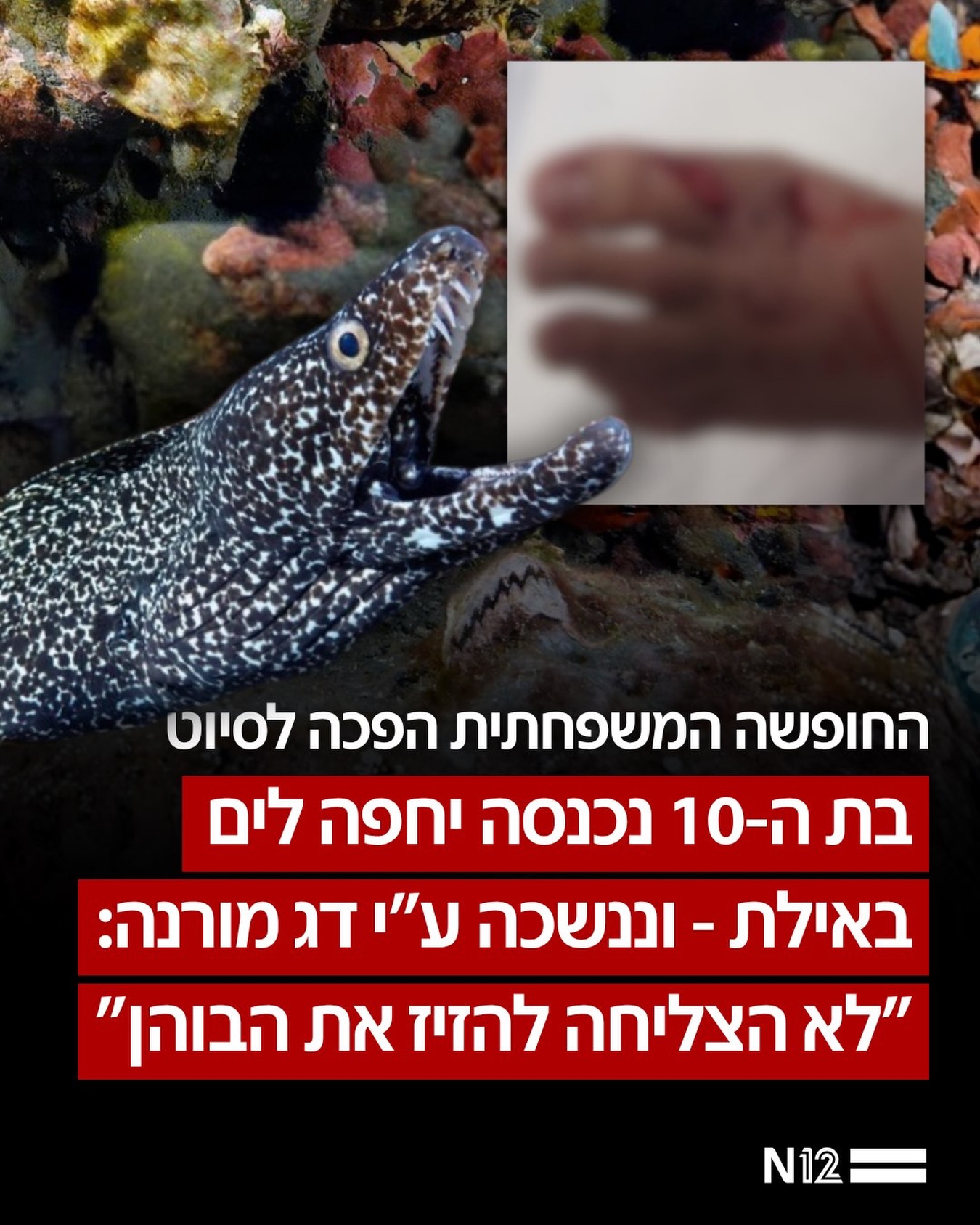 שיר, ילדה בת 10 שבילתה עם משפחתה בחוף האלמוגים באילת, ירדה מסלע...