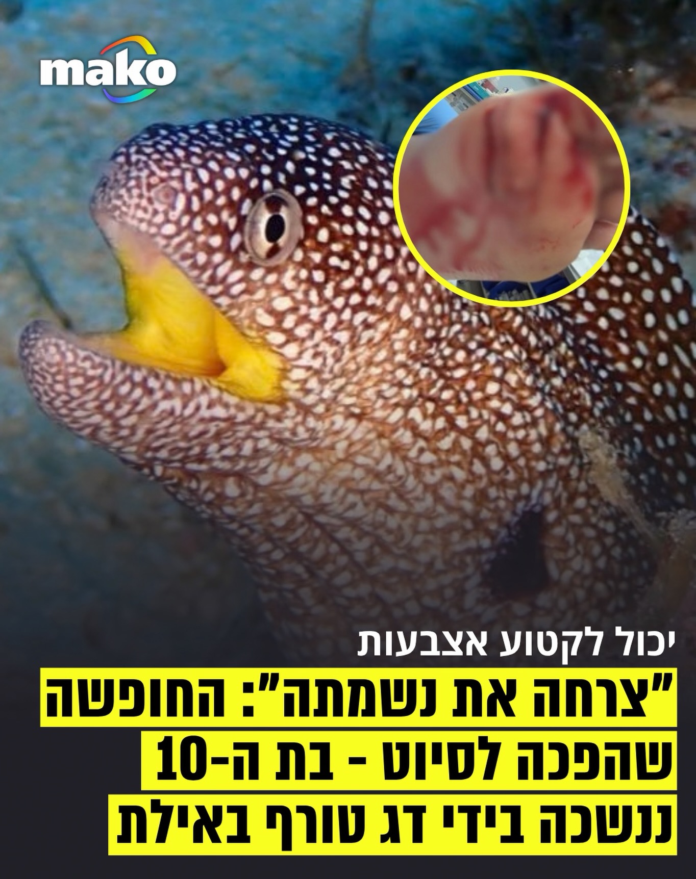 אימה באילת: שיר (שם בדוי), ילדה כבת 10 מהמרכז, בילתה בשבת האחרונה...