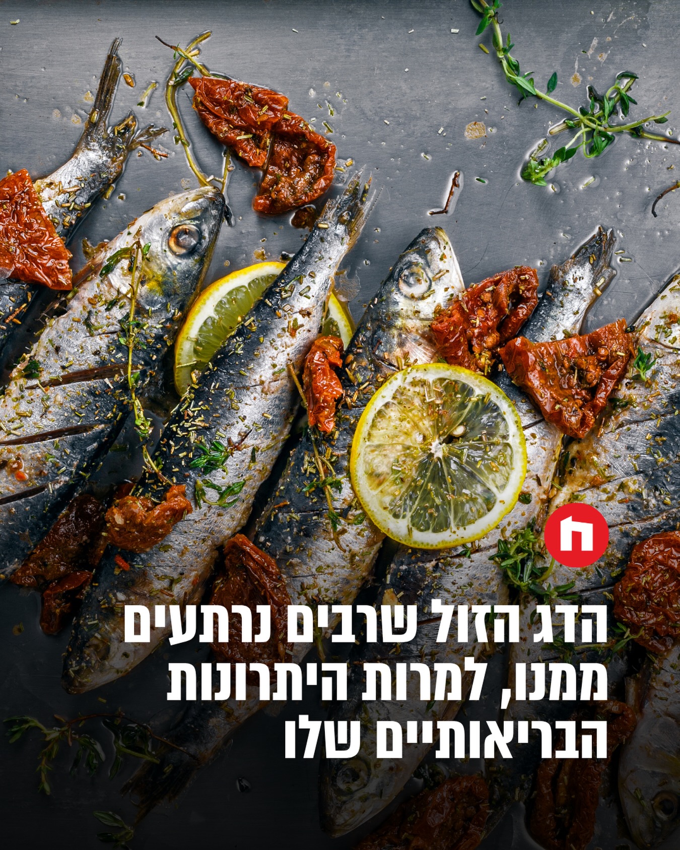 הדג הקטן שמפתיע בגדול: למה כדאי להכניס סרדינים לתפריט?...
