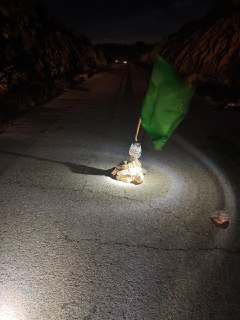 ‏דגל חמאס ומטען דמה אותרו בגזרת בנימין‏...
