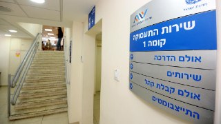 דו"ח ה-OECD: אחד מכל חמישה צעירים בני 18–24 בישראל אינו לומד ואינו...
