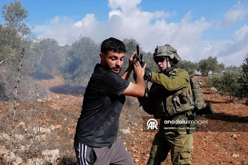 מהעימותים במסיק הזיתים בכפר ביתא : ערבי נוגע בנשק חייל...