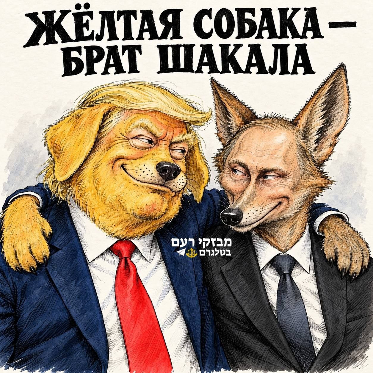 טראמפ הצהיר שאוקראינה עשויה להצטרך לנשיא חדש...