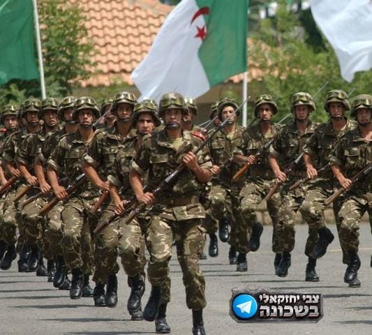 אלג'יריה בדרך לשלוח כוחות צבא לניז'ר...