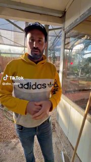 אַבּוּ טַבְּלֶה ابو طبلة (@abu_table): יצאתי לבדוק מה זה קרץ 
...