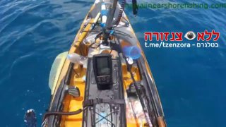 בהוואי, דייג כמעט הפך לארוחת צהריים עבור כריש...