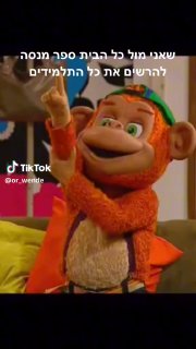 קופיקו מלכנו🐵 ...