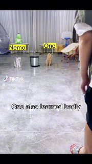 Ono is awesome😂😂 ...