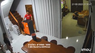 החתול התשגע...