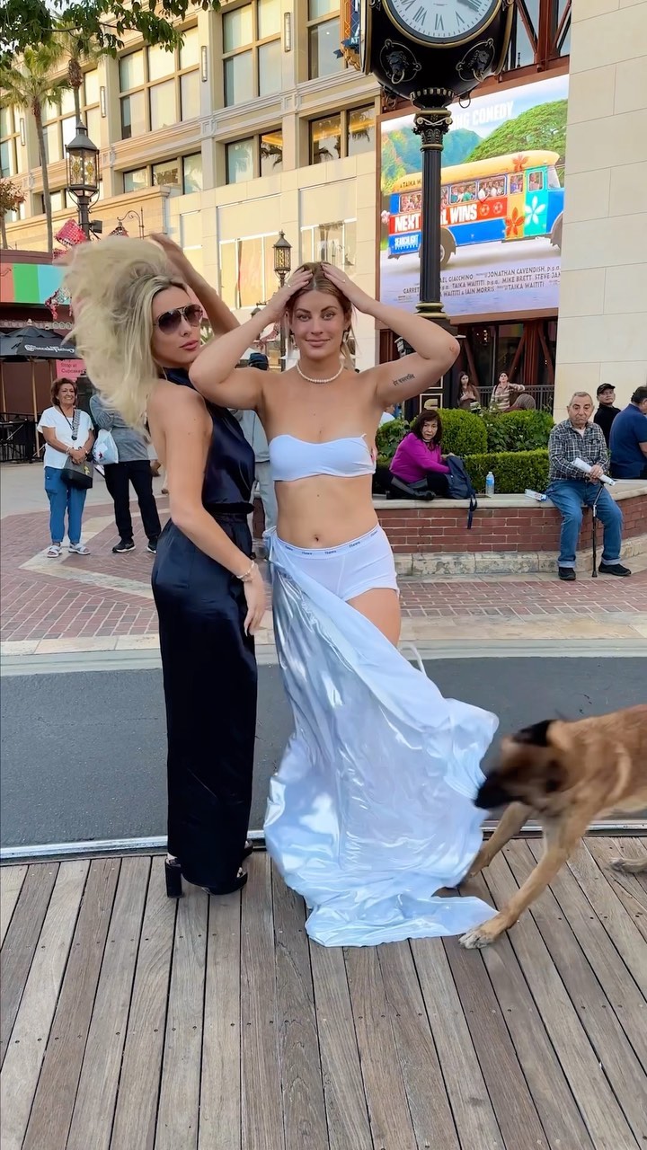 כלבלב שובב...