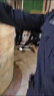 ‏מבושה לבושה....