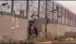 תיעוד מההתפרעויות אמש: מחבלים במזרח גבול עזה פוצצו מטען על...