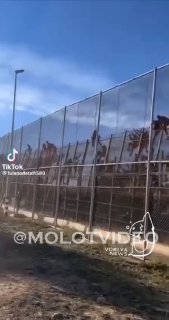 אפוקליפסת זומבים? לא, רק על גבול ארה