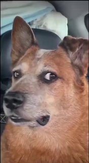 כל פעם שאני קורא את החדשות! 🤣🤣...