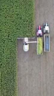 מקצועי ביותר! 🔥🔥😎...