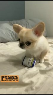 שלא תעז לחשוב על זה!!...