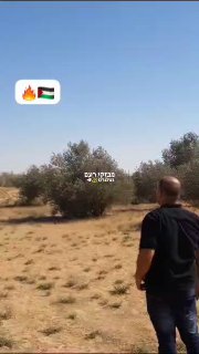 ללא שינוי: הפרות סדר נרשמות בגבול עזה - זוהו מספר פגיעות ...