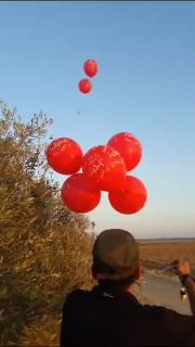 טרור הבלונים חזר? ...