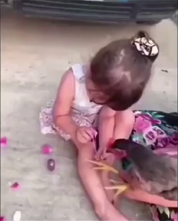 הכי יפה בלול! 🤣🤣🤣...