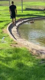 בנתיים ברמת גן 🤣 ...