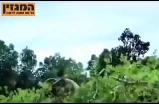 אמא תמיד תגן על הילדים שלה!❤️...