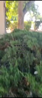 באחד הישובים בדרום מחבלים מעזה מסתובבים שם חופשי. ...
