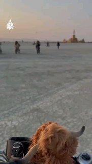 סרטון הסברה מעולה. כל הכבוד על הקריאיטיב....