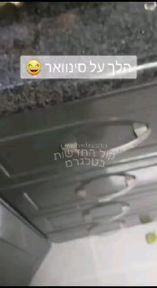 הלך על סינוואר🤣🤣🤣...