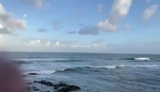 סיוע הומניטרי לדגים: הפלסטינים מתלוננים כי חלק מהסיוע שהוצנח...