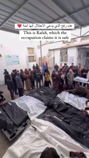 בעזה מדווחים על 13 מחוסלים בתקיפות צהל הלילה ברפיח...