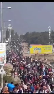 אלפי עקורים יוצאים מרפיח כיוון לדיר אל-בלח ומוואסי חאן יונס...