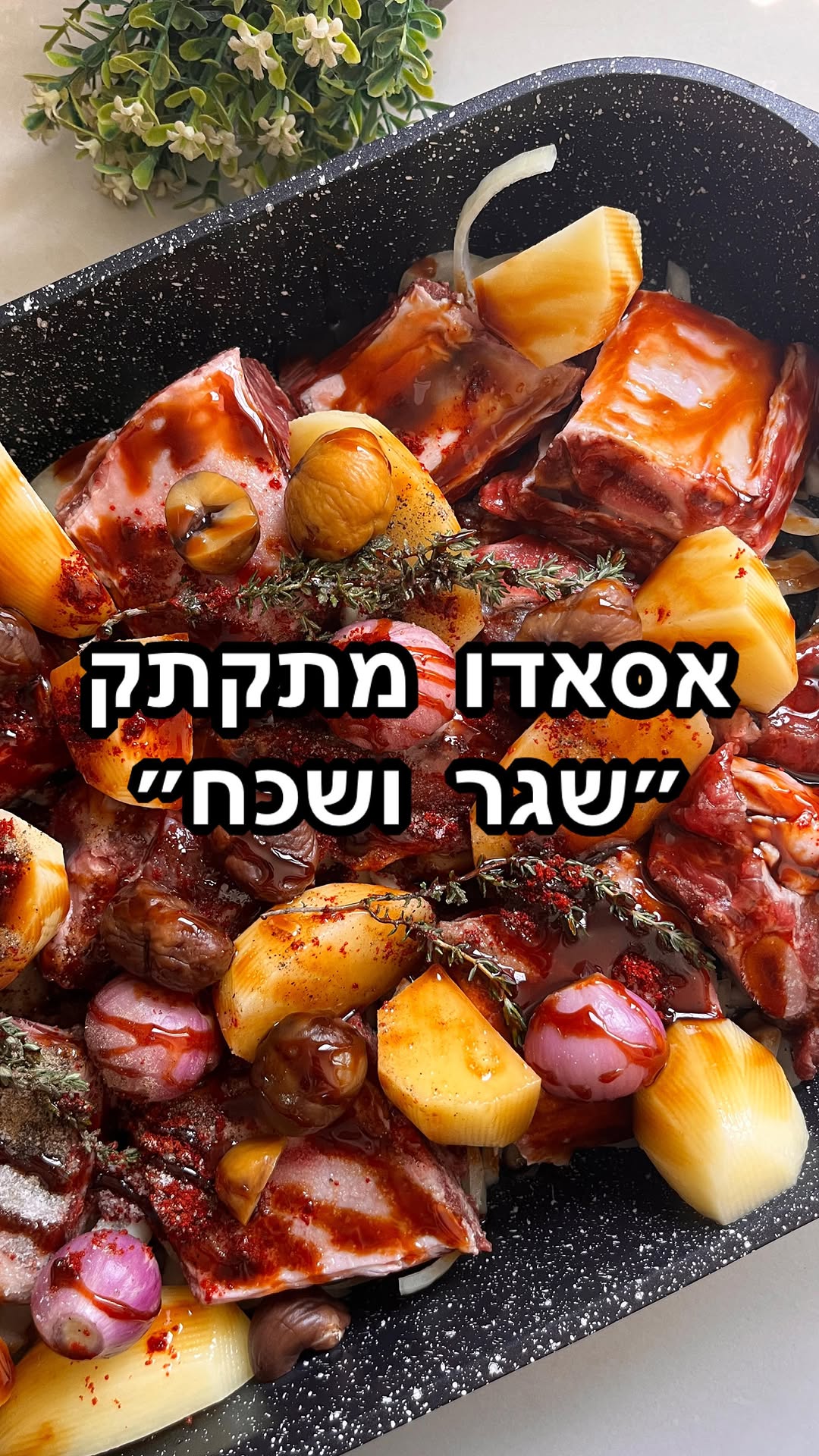STAVIS 🍳 אסאדו מתקתק בשיטת ״שגר ושכח״...