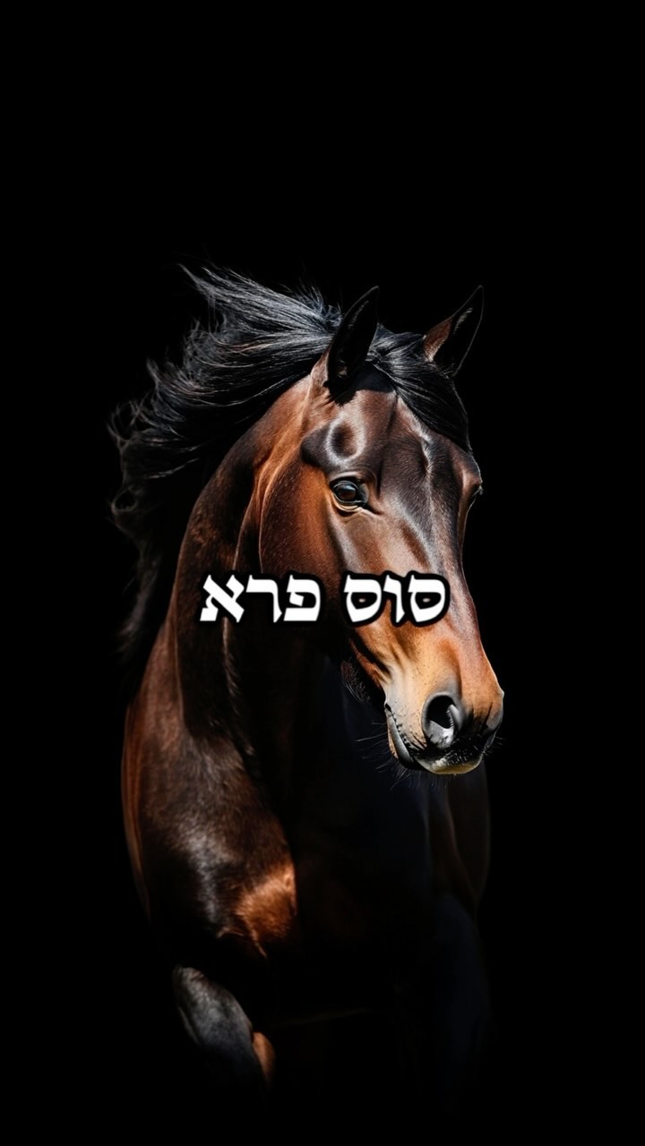 אפקט הסוס הפראי 🐎 עקבו אחרינו לסרטונים יומיים ❤️ ——...