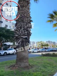 ליד ביתה של דניאלה ...