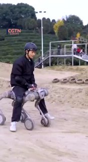 כלב רובוט תוצרת סין מסיע אדם בוגר.הכלב מתגבר על מכשולים,...