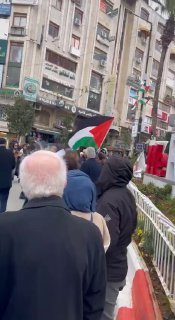 ספיר ליפקין
...