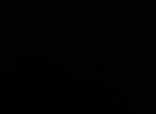 נקמת הדם בשיעים של חיזבאללה זו עובדה מוגמרת זו מצווה...