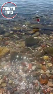 באילת יש יותר מתים מעזה...