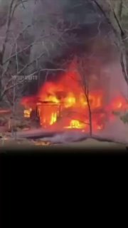 תיעוד דרמטי | ארה