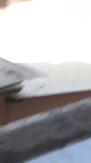 עימותים אלימים בין צבא פקיסטן והודו......