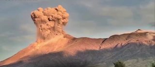 דיווחים מהעולם:...