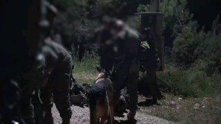 מצורף תיעוד מפעילות הכוחות בשכם:...