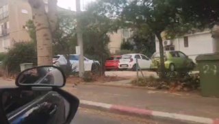 הפגנה מאולתרת עם המון כלבים איפה שהיה האירוע אתמול בפתח תקווה...